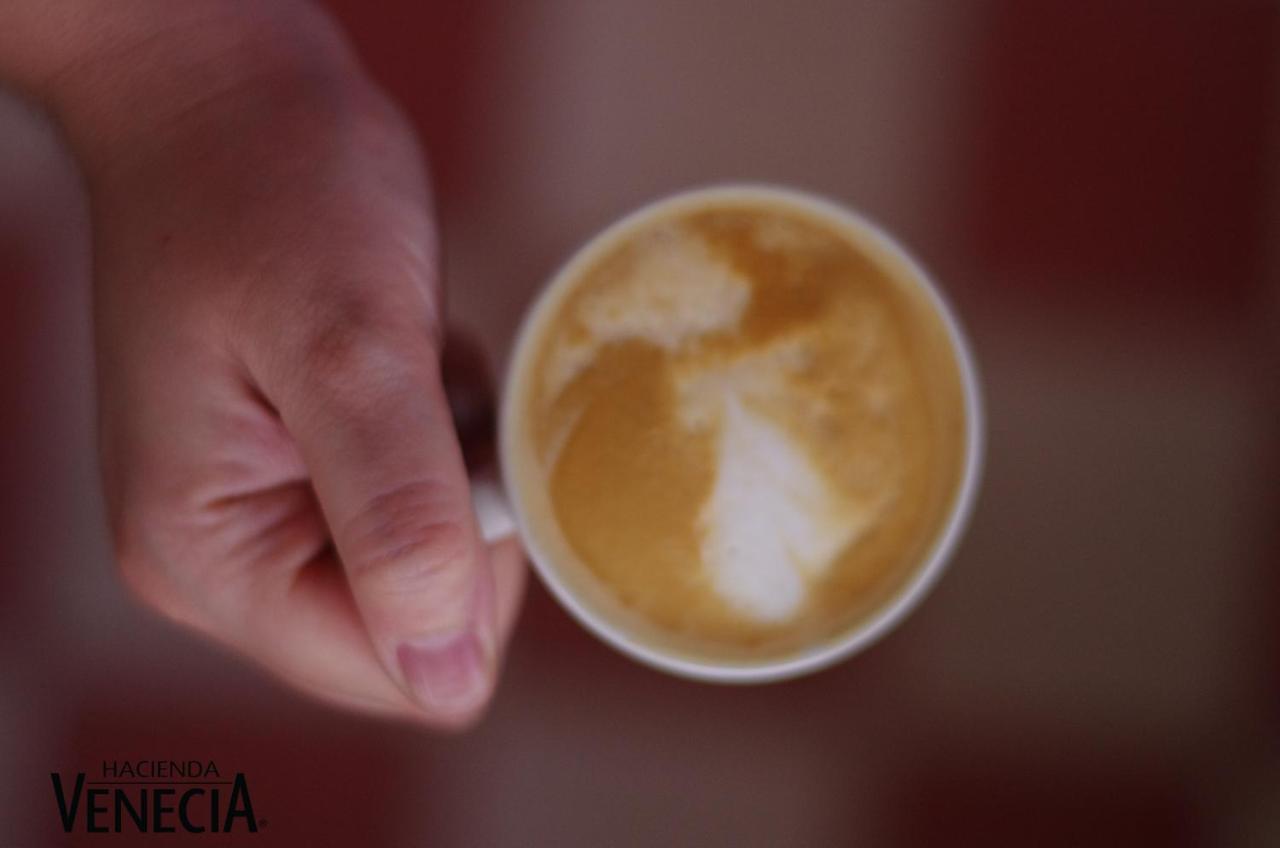 Hacienda Venecia Coffee Farm Hotel San Peregrino Εξωτερικό φωτογραφία