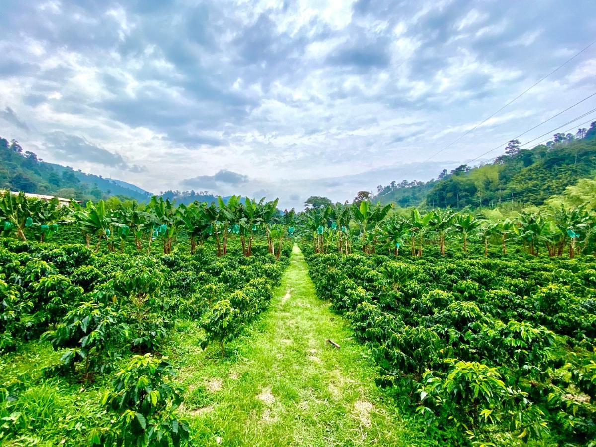 Hacienda Venecia Coffee Farm Hotel San Peregrino Εξωτερικό φωτογραφία