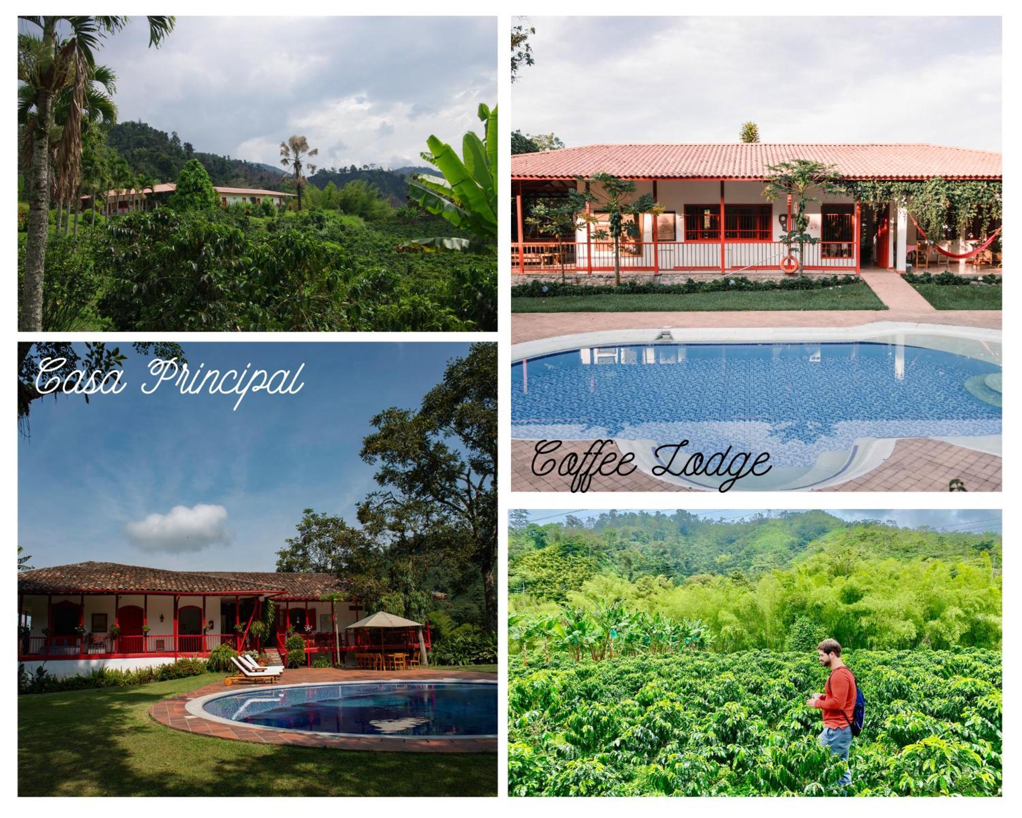 Hacienda Venecia Coffee Farm Hotel San Peregrino Εξωτερικό φωτογραφία