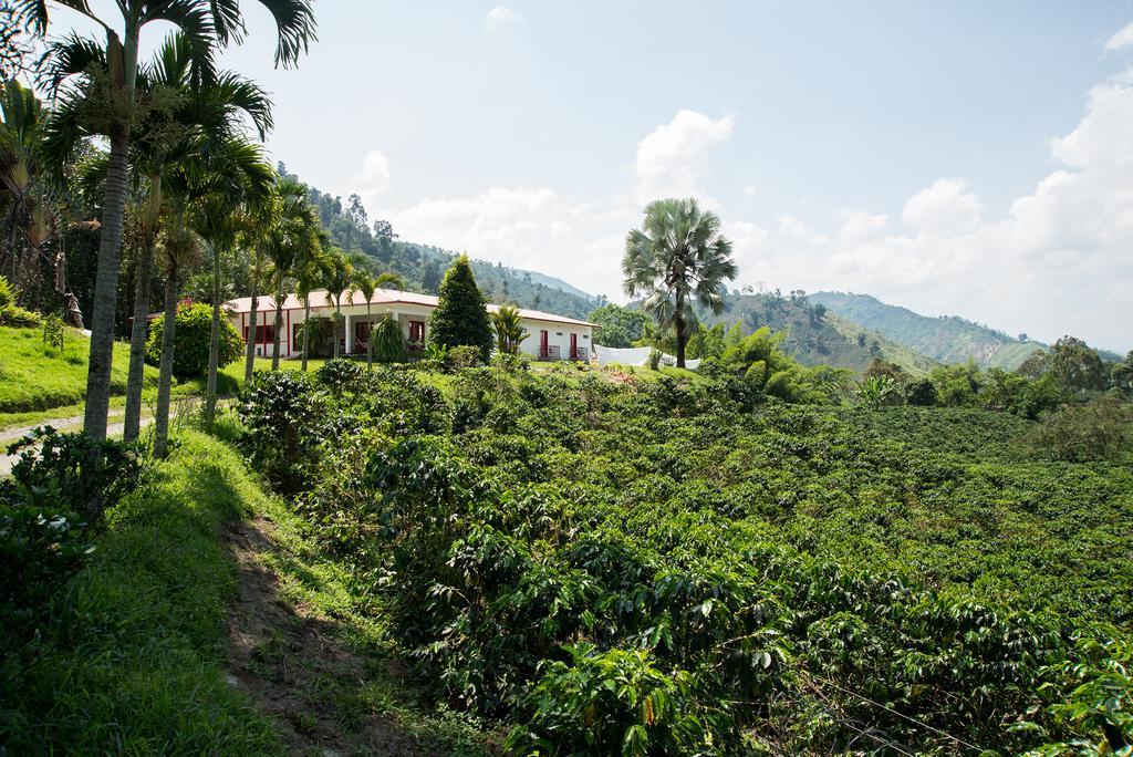 Hacienda Venecia Coffee Farm Hotel San Peregrino Δωμάτιο φωτογραφία